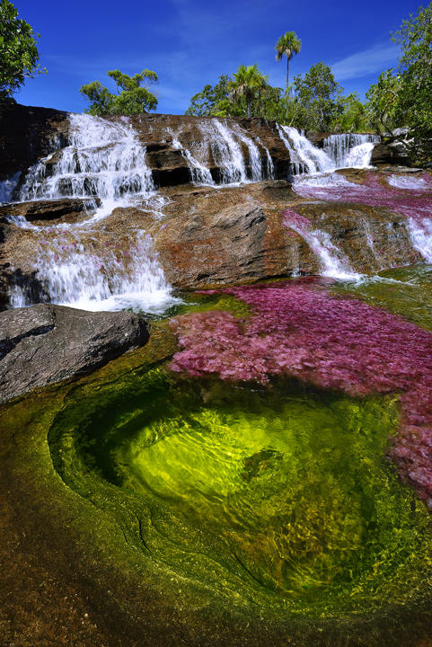 Caño Cristales – az ötszínű folyó színjátéka Kolumbiában