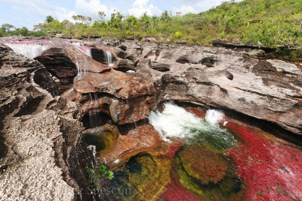 cano-cristales04-610x406