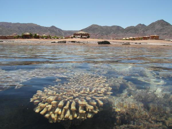 nuweiba