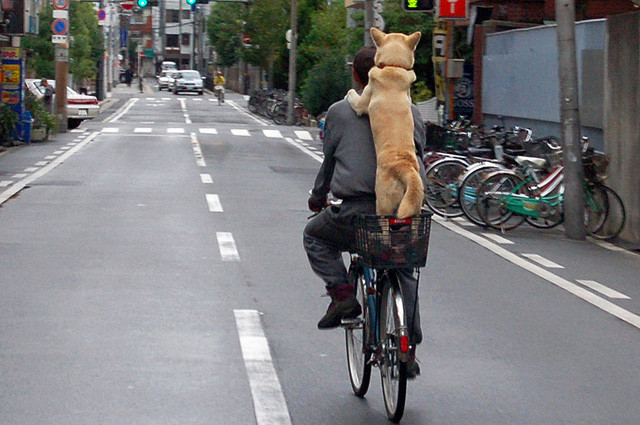 new-bicycle-rules-japan-2-640x425