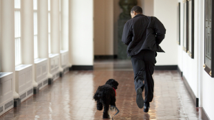 Obamáék megmutatták – a Fehér Ház magánlakrészei