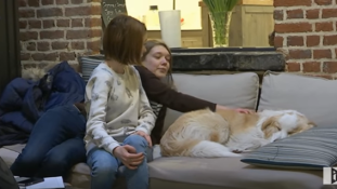 Kutyakávézó Lille-ben – Európában az első (videó)