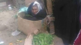 Kartondobozban él és nem fogad el segítséget egy 85 éves vak asszony Kairó mellett