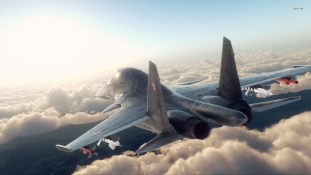 Pálmaolaj, tea és kávé orosz vadászgépekért