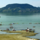 Mérgező a Balaton vize?