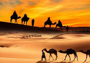 June 22 was World Camel Day.